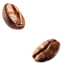 Coffee beans